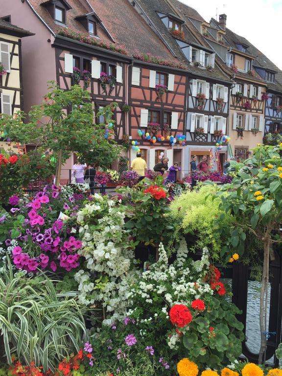 Les Appartements De Home Petite Venise Colmar Exterior foto